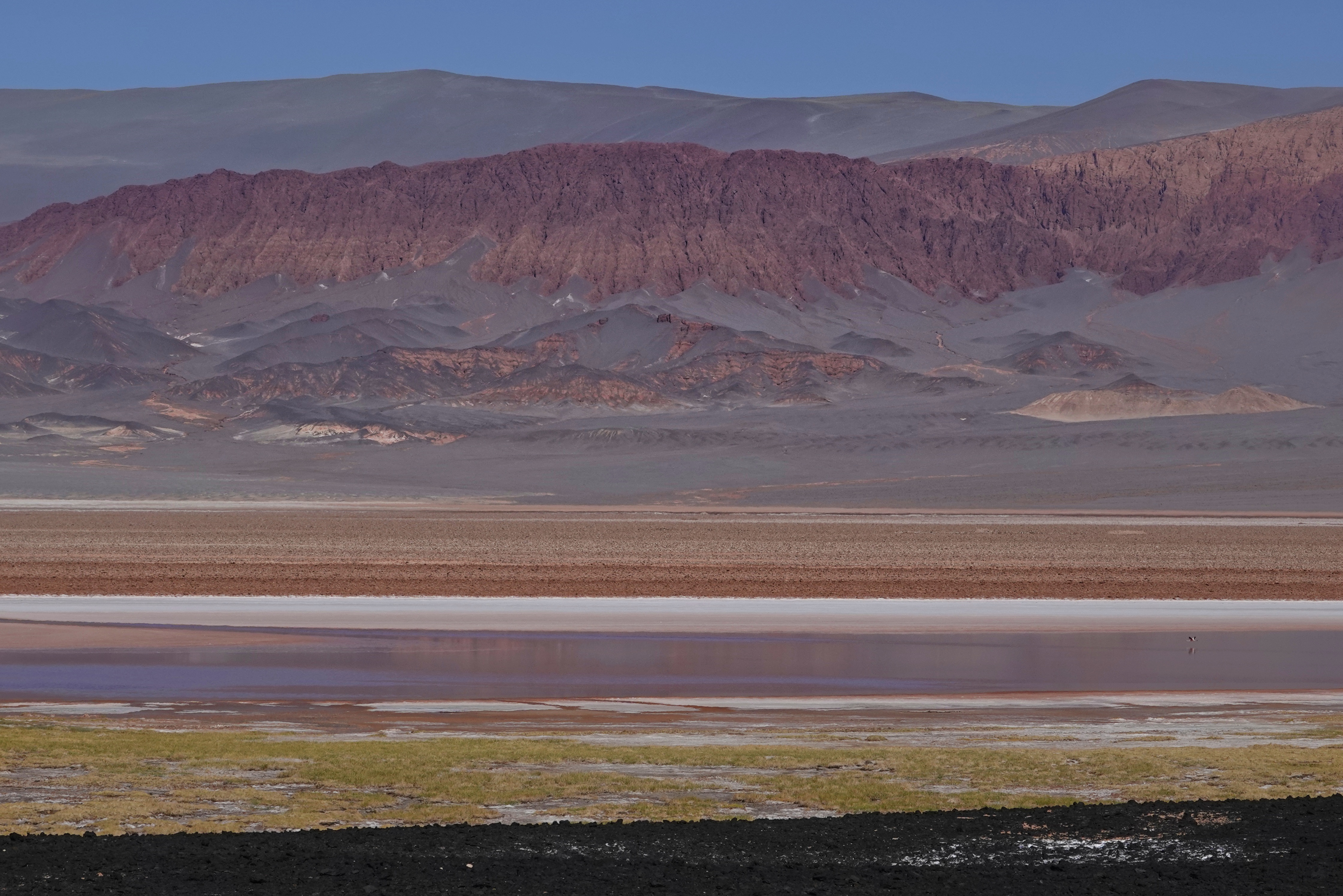 Plateau désertique et salars